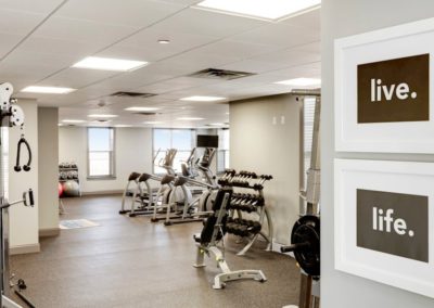 The fitness center at The Station at Lyndhurst Apartments featuring treadmills, ellipticals, free weights, and strength training equipment.